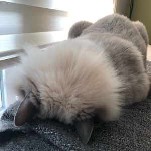 Meet your Posher, Lianne